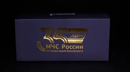 projectimage17