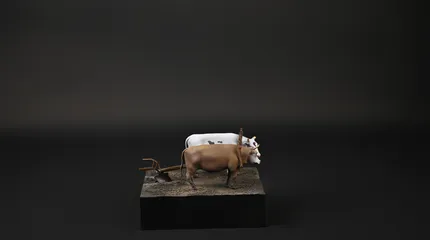 projectimage76