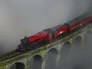projectimage10